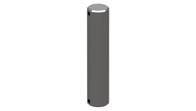 Pin