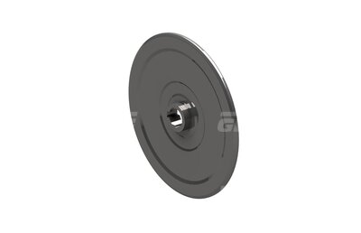 Disc