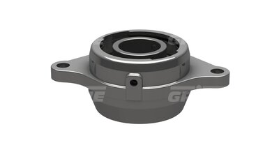 Flange Bearing S40
