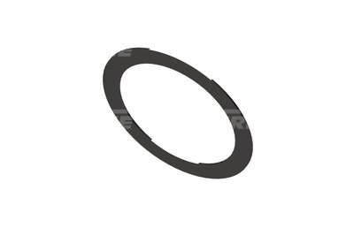 Dichtring