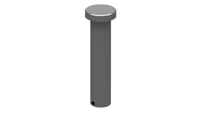Pin