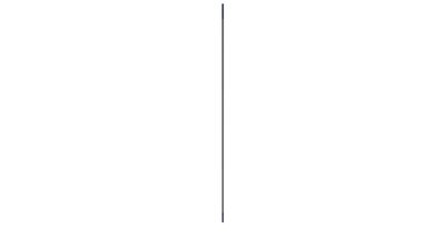 Lifting Rod