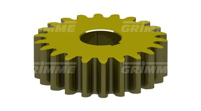 Gear Wheel