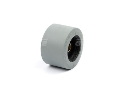 Support Roller D95