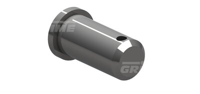Hinge Bolt