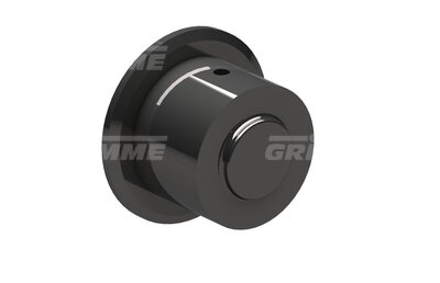 Rolle mit Kragen A-Ø100 x  I-Ø52 x 66,5mm