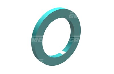 Dichtring