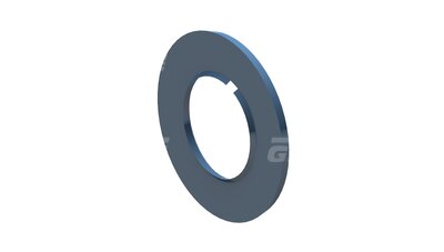 Sealing Ring 55-29,5-3