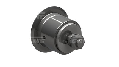 Flange Roller DM100