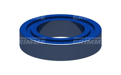 Grooved Ball Bearing S6008 DDU C3 2