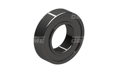 Grooved Ball Bearing S6005 DDU C3