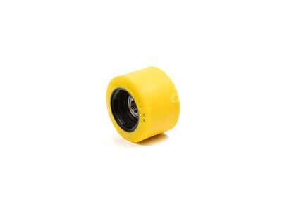 Support Roller D95