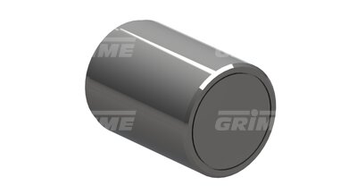 Flange Roller DM75