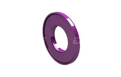 Lamella Seal Z 205