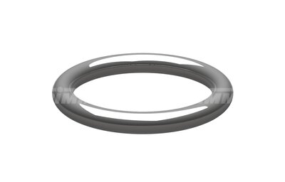 RSR-DIN3771-17,12X2,62-NBR90